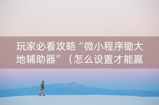 玩家必看攻略“微小程序锄大地辅助器”（怎么设置才能赢)