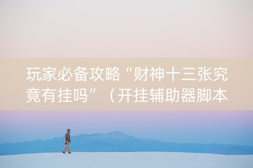 玩家必备攻略“财神十三张究竟有挂吗”（开挂辅助器脚本)