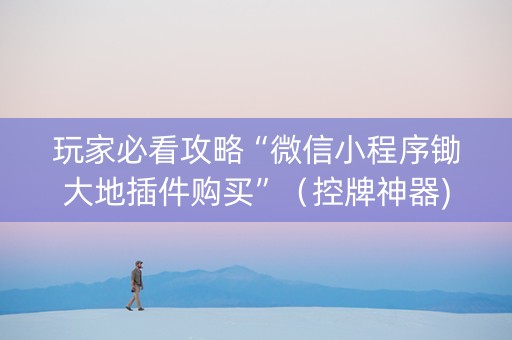 玩家必看攻略“微信小程序锄大地插件购买”（控牌神器)