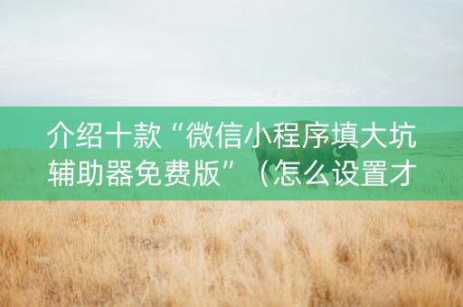 介绍十款“微信小程序填大坑辅助器免费版”（怎么设置才能赢)