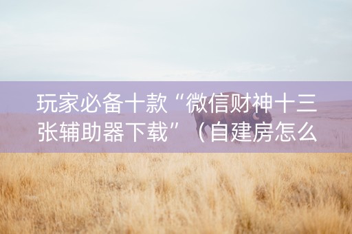玩家必备十款“微信财神十三张辅助器下载”（自建房怎么拿好牌)