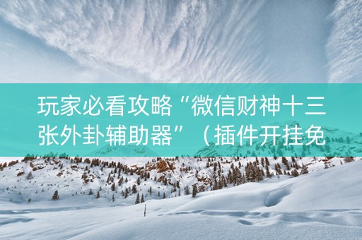 玩家必看攻略“微信财神十三张外卦辅助器”（插件开挂免费AI)