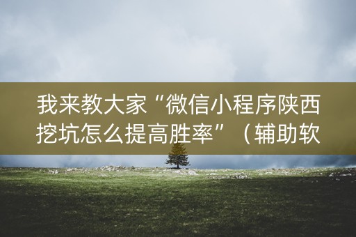 我来教大家“微信小程序陕西挖坑怎么提高胜率”（辅助软件)