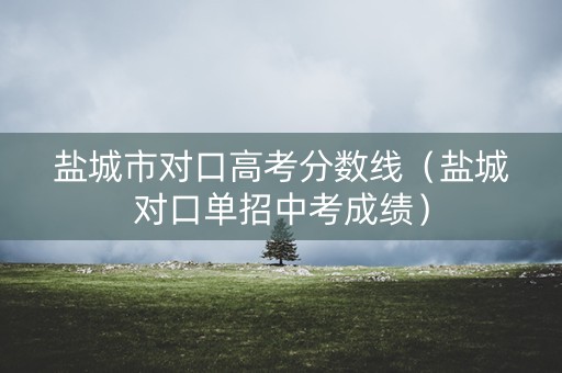 盐城市对口高考分数线（盐城对口单招中考成绩）