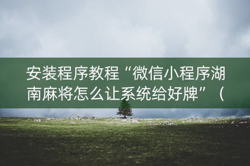 安装程序教程“微信小程序湖南麻将怎么让系统给好牌”（辅助器通用版)