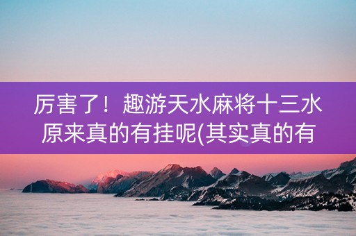 厉害了！趣游天水麻将十三水原来真的有挂呢(其实真的有挂)