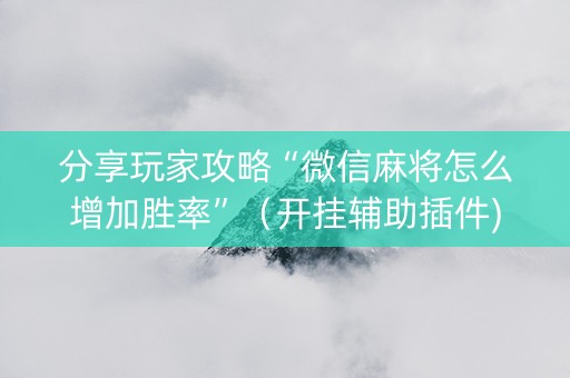 分享玩家攻略“微信麻将怎么增加胜率”（开挂辅助插件)