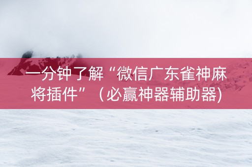一分钟了解“微信广东雀神麻将插件”（必赢神器辅助器)