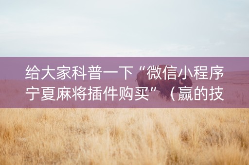 给大家科普一下“微信小程序宁夏麻将插件购买”（赢的技巧规律)