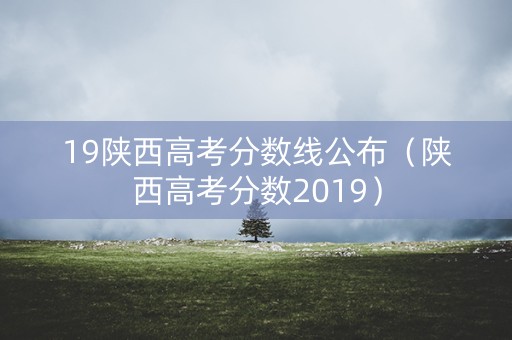 19陕西高考分数线公布（陕西高考分数2019）