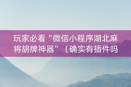 玩家必看“微信小程序湖北麻将胡牌神器”（确实有插件吗)