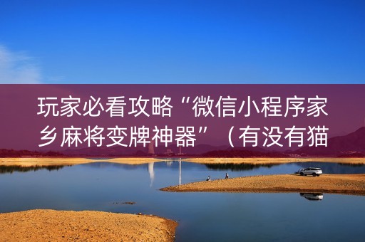 玩家必看攻略“微信小程序家乡麻将变牌神器”（有没有猫腻)
