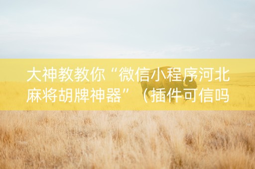 大神教教你“微信小程序河北麻将胡牌神器”（插件可信吗)