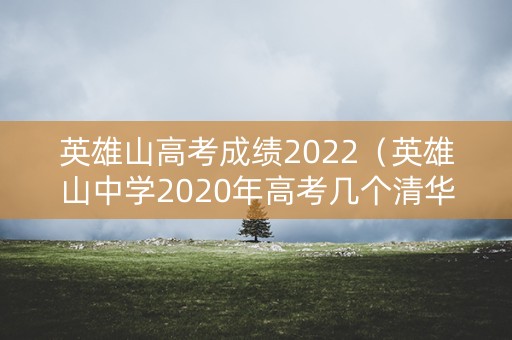 英雄山高考成绩2022（英雄山中学2020年高考几个清华北大）