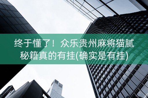 终于懂了！众乐贵州麻将猫腻秘籍真的有挂(确实是有挂)