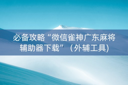 必备攻略“微信雀神广东麻将辅助器下载”（外辅工具)