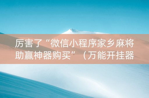 厉害了“微信小程序家乡麻将助赢神器购买”（万能开挂器)