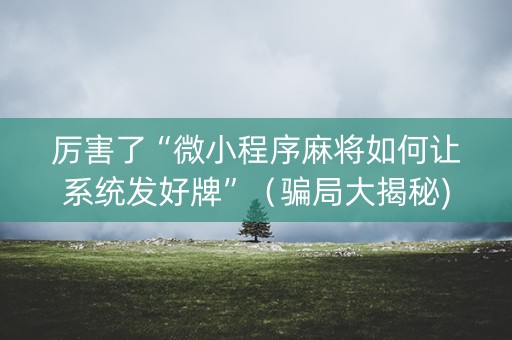 厉害了“微小程序麻将如何让系统发好牌”（骗局大揭秘)
