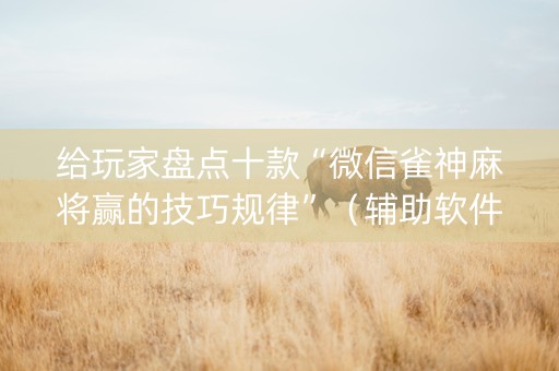 给玩家盘点十款“微信雀神麻将赢的技巧规律”（辅助软件)