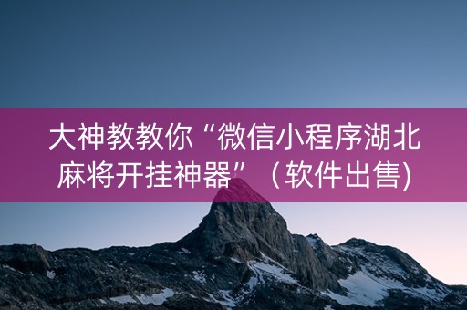 大神教教你“微信小程序湖北麻将开挂神器”（软件出售)