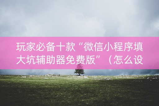 玩家必备十款“微信小程序填大坑辅助器免费版”（怎么设置能有好牌)
