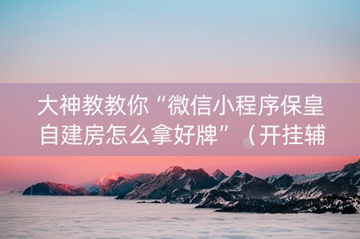大神教教你“微信小程序保皇自建房怎么拿好牌”（开挂辅助插件)