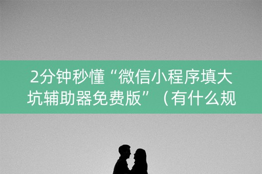 2分钟秒懂“微信小程序填大坑辅助器免费版”（有什么规律)