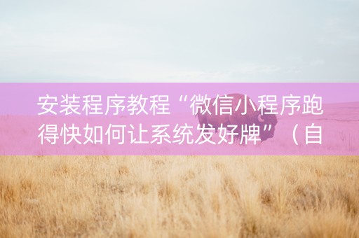 安装程序教程“微信小程序跑得快如何让系统发好牌”（自建房胜负规律)