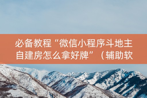 必备教程“微信小程序斗地主自建房怎么拿好牌”（辅助软件)