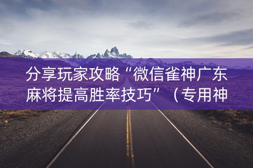 分享玩家攻略“微信雀神广东麻将提高胜率技巧”（专用神器)