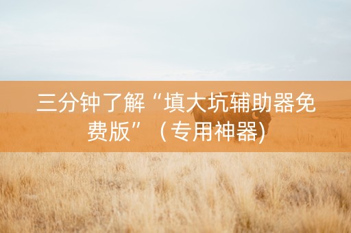 三分钟了解“填大坑辅助器免费版”（专用神器)