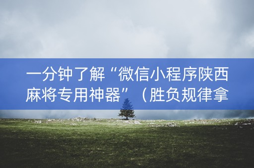 一分钟了解“微信小程序陕西麻将专用神器”（胜负规律拿好牌)