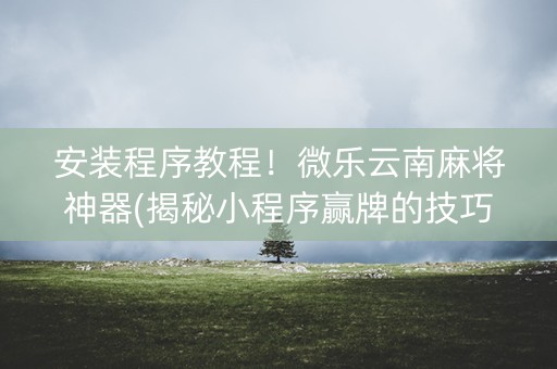 安装程序教程！微乐云南麻将神器(揭秘小程序赢牌的技巧)