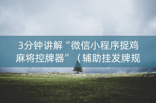 3分钟讲解“微信小程序捉鸡麻将控牌器”（辅助挂发牌规律)