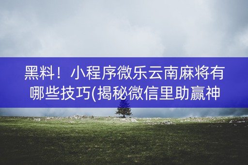 黑料！小程序微乐云南麻将有哪些技巧(揭秘微信里助赢神器购买)