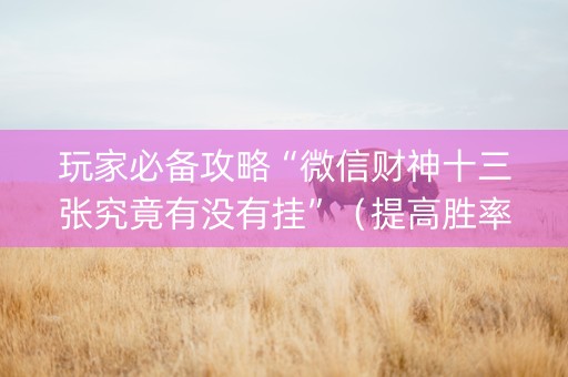 玩家必备攻略“微信财神十三张究竟有没有挂”（提高胜率技巧)
