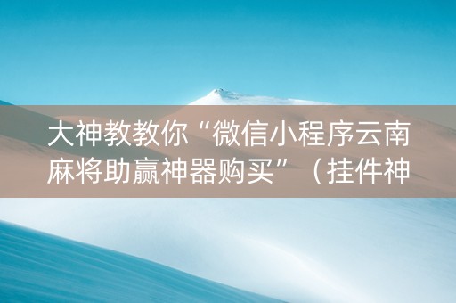 大神教教你“微信小程序云南麻将助赢神器购买”（挂件神器)