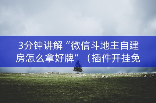 3分钟讲解“微信斗地主自建房怎么拿好牌”（插件开挂免费AI)