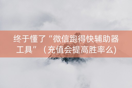 终于懂了“微信跑得快辅助器工具”（充值会提高胜率么)