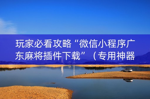 玩家必看攻略“微信小程序广东麻将插件下载”（专用神器下载)
