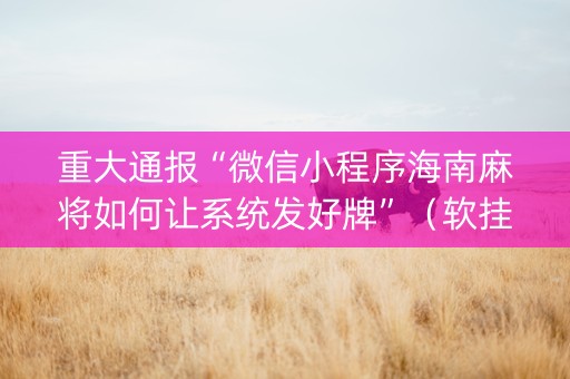 重大通报“微信小程序海南麻将如何让系统发好牌”（软挂神器)