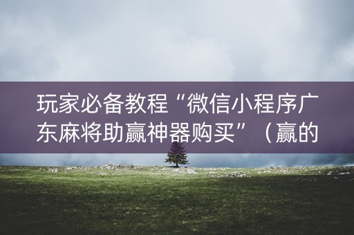 玩家必备教程“微信小程序广东麻将助赢神器购买”（赢的技巧规律)