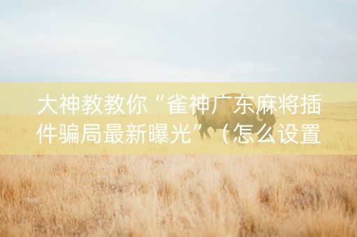 大神教教你“雀神广东麻将插件骗局最新曝光”（怎么设置能有好牌)