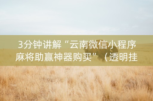3分钟讲解“云南微信小程序麻将助赢神器购买”（透明挂辅助器)