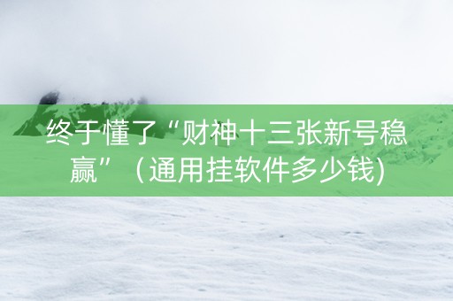终于懂了“财神十三张新号稳赢”（通用挂软件多少钱)