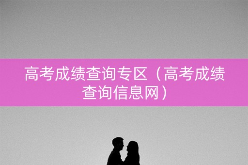 高考成绩查询专区（高考成绩查询信息网）