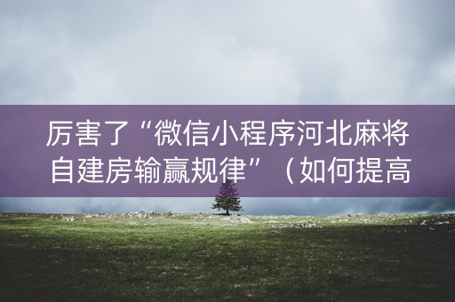 厉害了“微信小程序河北麻将自建房输赢规律”（如何提高胜率)