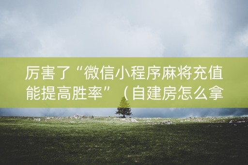 厉害了“微信小程序麻将充值能提高胜率”（自建房怎么拿好牌)