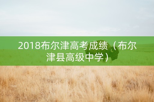 2018布尔津高考成绩（布尔津县高级中学）