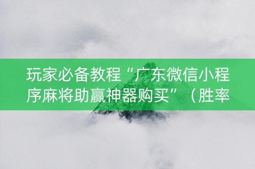 玩家必备教程“广东微信小程序麻将助赢神器购买”（胜率到哪调)